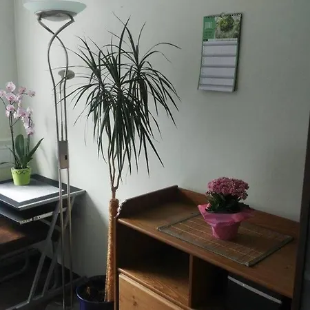 Apartment Rodzinny 2 Pokojowy. Widok Na Sniezke. *