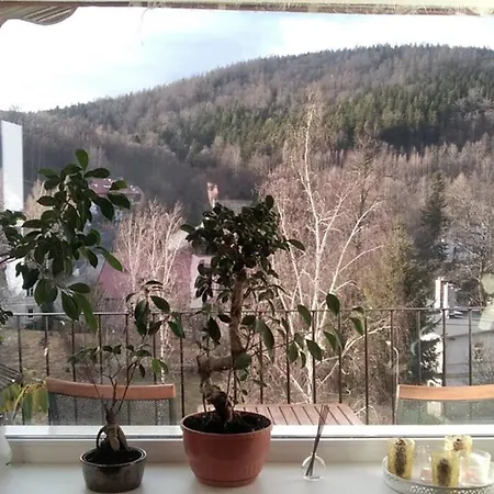 Rodzinny 2 Pokojowy. Widok Na Sniezke.