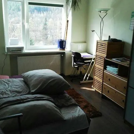 Apartmán Rodzinny 2 Pokojowy. Widok Na Sniezke.